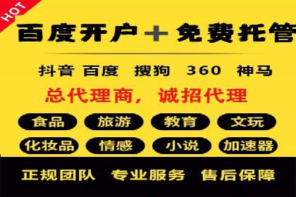 SEO与SEM优化案例：打造行业领先品牌